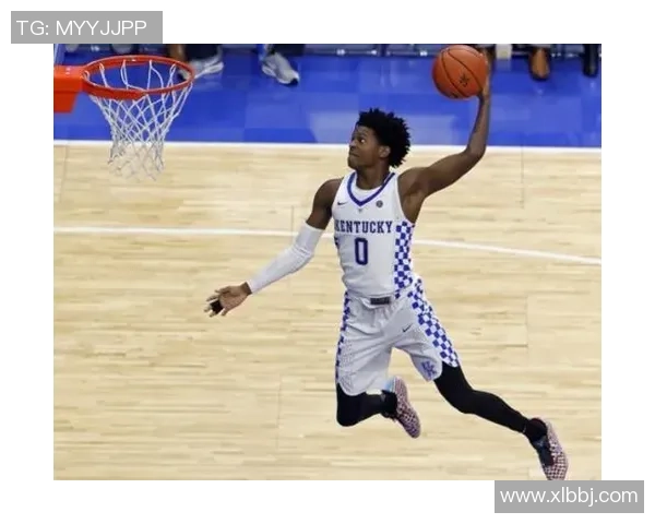 德阿隆福克斯的崛起之路与未来展望：从新秀到球队核心的蜕变